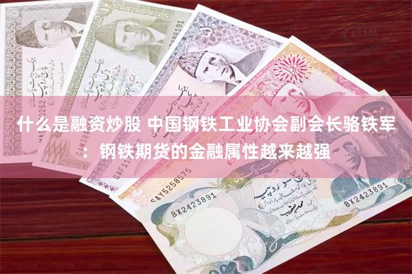 什么是融资炒股 中国钢铁工业协会副会长骆铁军：钢铁期货的金融属性越来越强