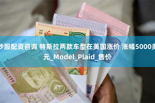 炒股配资咨询 特斯拉两款车型在美国涨价 涨幅5000美元_Model_Plaid_售价
