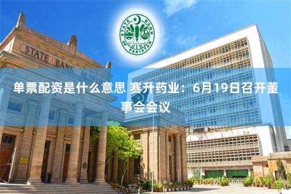 单票配资是什么意思 赛升药业：6月19日召开董事会会议